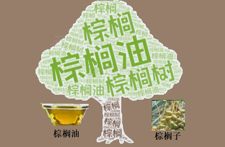 XM外汇官网_XM中文官网_XM官网登陆